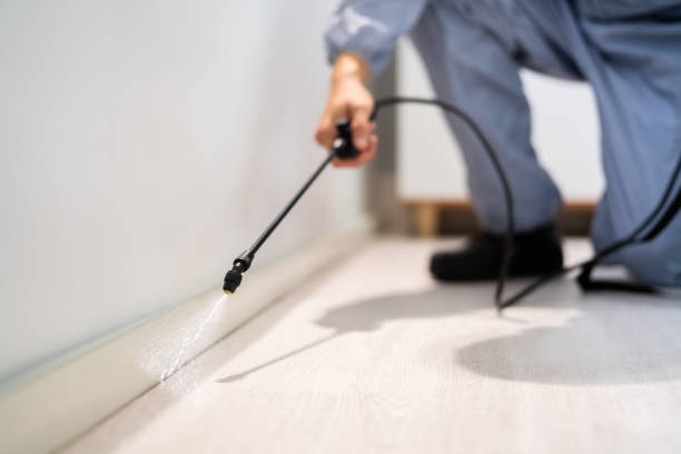 Professional exterminator conducting IPM assessment in Brinkley